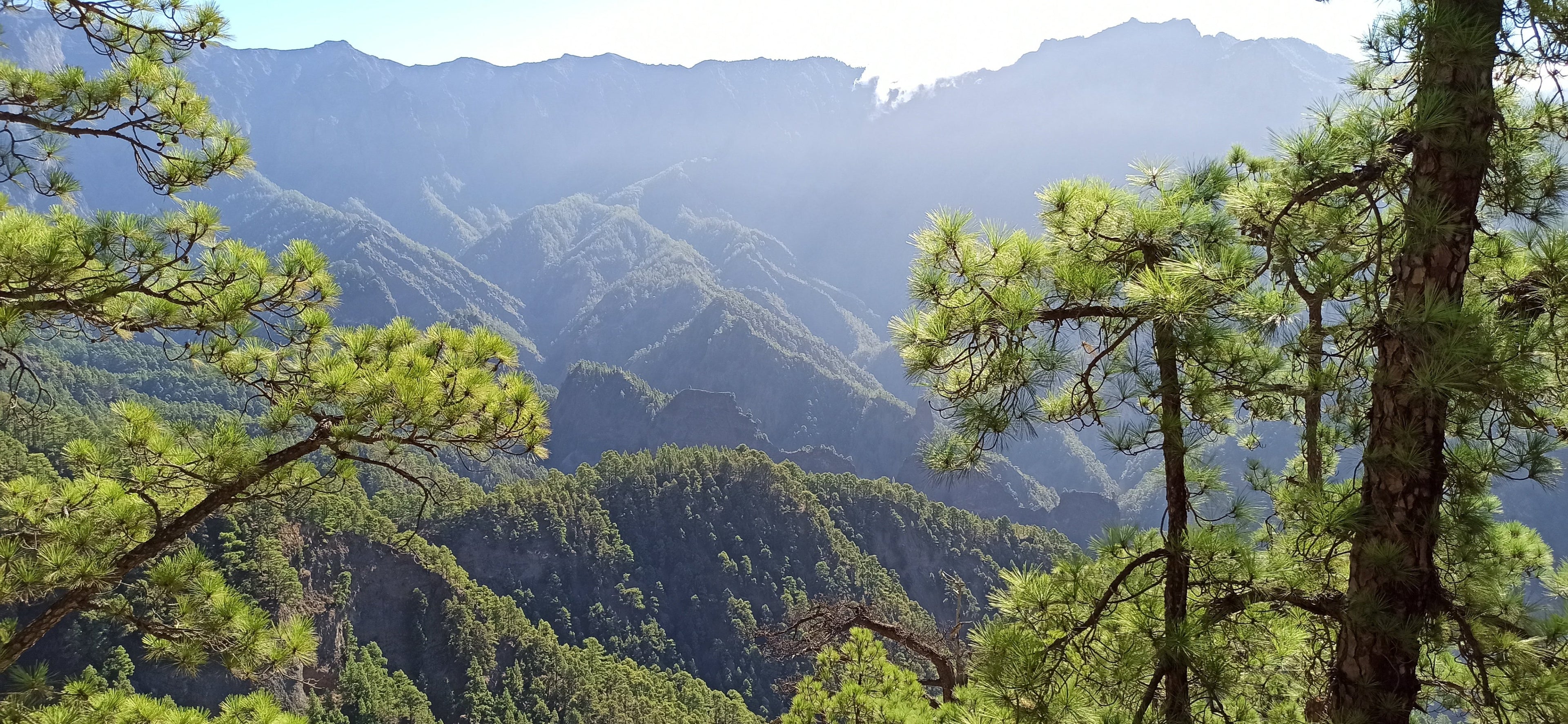 Blick zwischen zwei Bäumen auf eine Bergkette mit Wolkenwasserfall